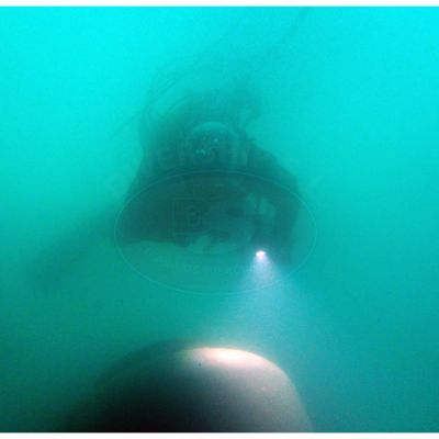 Emisarios submarinos